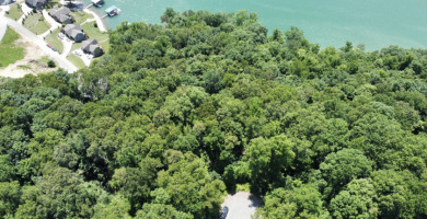 Lake Access Lot in Hidden Springs on Norris Lake! - photo 3