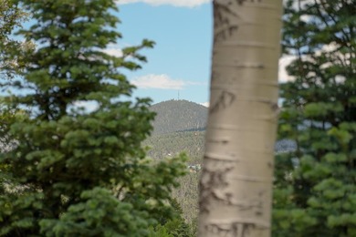 Nestled among the tall pines of Angel Fire, this warm and - photo 7