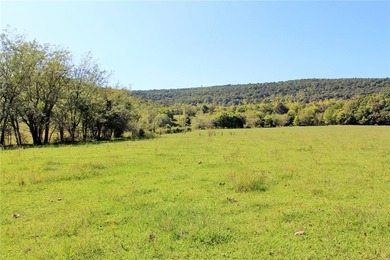 Located just 16 miles southeast of Huntsville, this 270-acre - photo 3