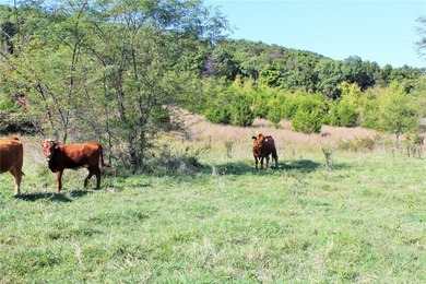 Located just 16 miles southeast of Huntsville, this 270-acre - photo 4