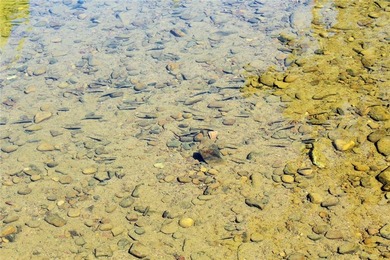 Located just 16 miles southeast of Huntsville, this 270-acre - photo 9