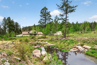 Discover the fire-wise beauty and privacy of this extraordinary - photo 4