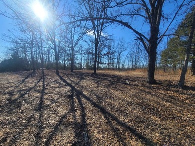 Nestled in the heart of nature, this exceptional 262+/- acre - photo 3