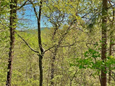 Lake Lot For Sale in Ranger, Georgia