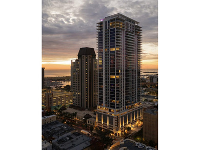 Introducing the Penthouse Collection at Art House St Pete.  The - photo 20