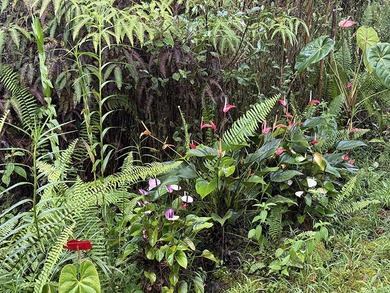 Escape to your own private off-grid oasis, where peace, privacy - photo 24