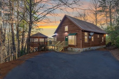 Lake Home For Sale in Blue Ridge, Georgia