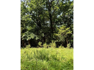Lake Lot For Sale in Garfield, Arkansas