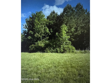 Perquimans River Acreage For Sale in Hertford North Carolina