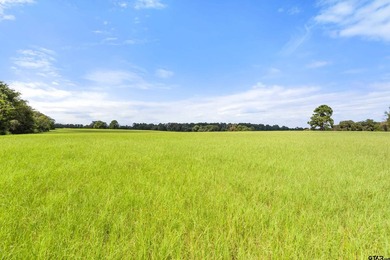 It is my pleasure to present this unparalleled, sprawling Lake - photo 9