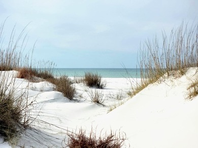 Unlock the full potential of this Bayfront 6.7 Acre 14-Lot - photo 20