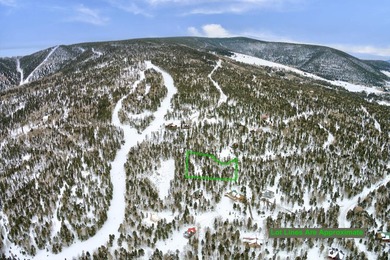 Monte Verde Lake Lot For Sale in Angel Fire New Mexico