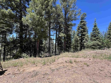 If you're looking for a quiet location that also has nearby - photo 8