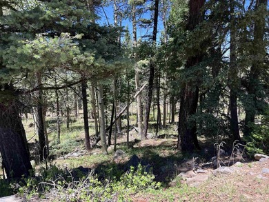 If you're looking for a quiet location that also has nearby - photo 9