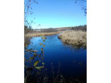 (private lake, pond, creek) Acreage For Sale in Cary Plt Maine