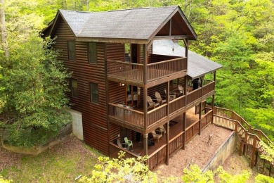 Lake Home For Sale in Ellijay, Georgia