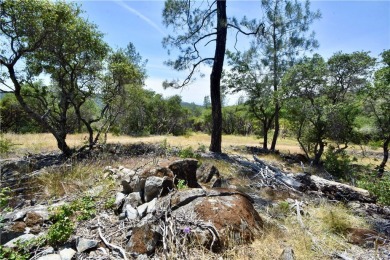 Oroville Lake Acreage For Sale in Oroville California
