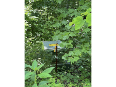 Lake Access Lot in Hidden Springs on Norris Lake! - photo 4