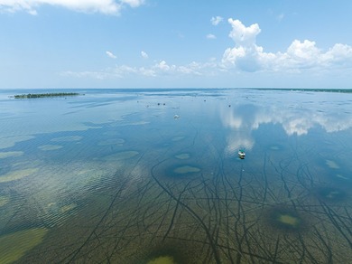 Amazing PUD Development Opportunity with both 600' of Bayfront - photo 14