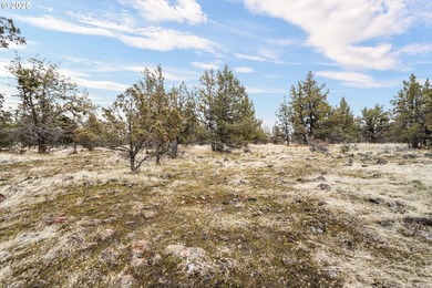 Amazing opportunity to own 4.79 level useable acres nestled in - photo 20