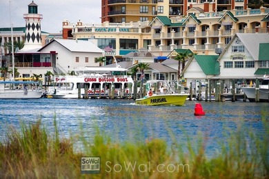 Protect your plane in this fantastic airplane hangar at Destin - photo 24