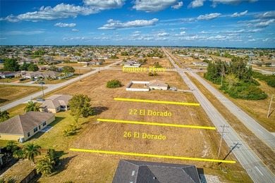 Cape Coral cleared building lots north of Pine Island Rd and - photo 2