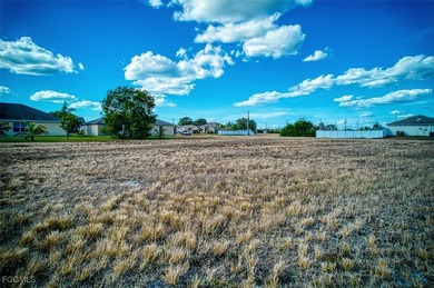 Cape Coral cleared building lots north of Pine Island Rd and - photo 4