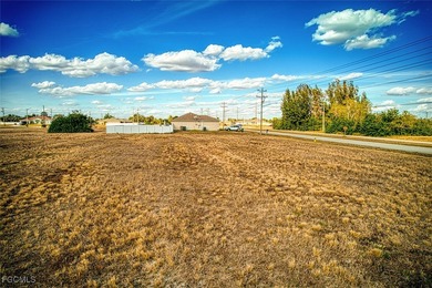 Cape Coral cleared building lots north of Pine Island Rd and - photo 5