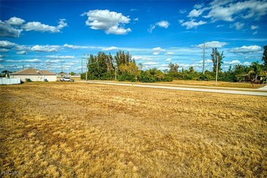 Cape Coral cleared building lots north of Pine Island Rd and - photo 6