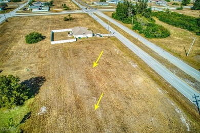 Cape Coral cleared building lots north of Pine Island Rd and - photo 7