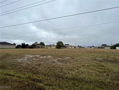 Cape Coral cleared building lots north of Pine Island Rd and - photo 8
