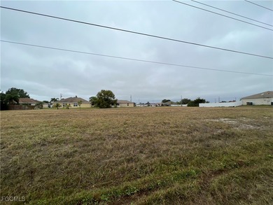 Cape Coral cleared building lots north of Pine Island Rd and - photo 9