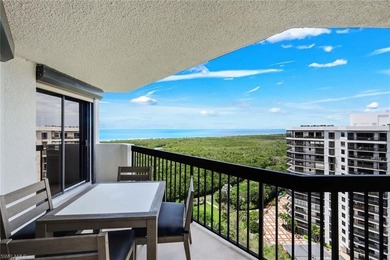 Stunning 16th-floor Gulf views! This beautifully completely - photo 1