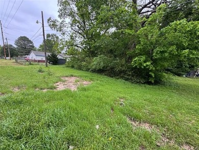 Seize this rare opportunity to secure a buildable, level lot - photo 2