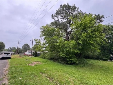 Seize this rare opportunity to secure a buildable, level lot - photo 4