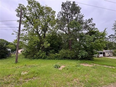 Seize this rare opportunity to secure a buildable, level lot - photo 6