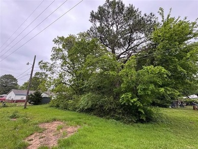 Seize this rare opportunity to secure a buildable, level lot - photo 8
