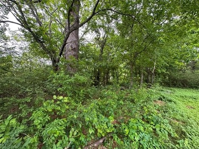 Seize this rare opportunity to secure a buildable, level lot - photo 9