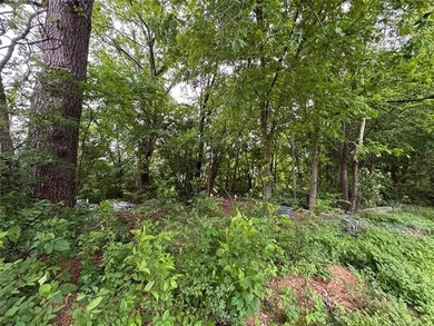 Seize this rare opportunity to secure a buildable, level lot - photo 10