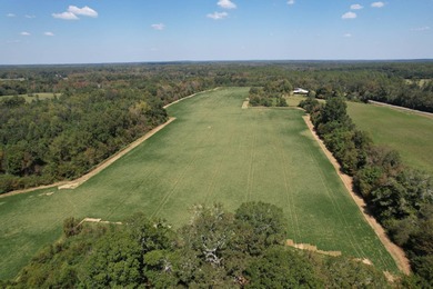 (private lake, pond, creek) Acreage For Sale in Graceville Florida