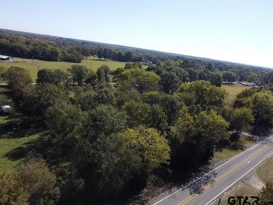WELCOME TO GOLDEN, TX. Located right in the heart of downtown - photo 7