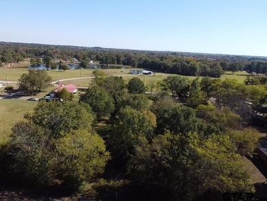 WELCOME TO GOLDEN, TX. Located right in the heart of downtown - photo 8