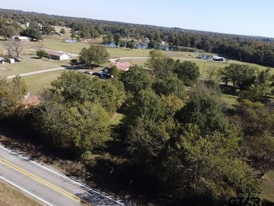 WELCOME TO GOLDEN, TX. Located right in the heart of downtown - photo 10