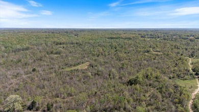 Looking for the perfect land investment, recreation or hunting - photo 11