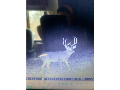 Looking for the perfect land investment, recreation or hunting - photo 16