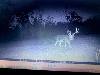 Looking for the perfect land investment, recreation or hunting - photo 17