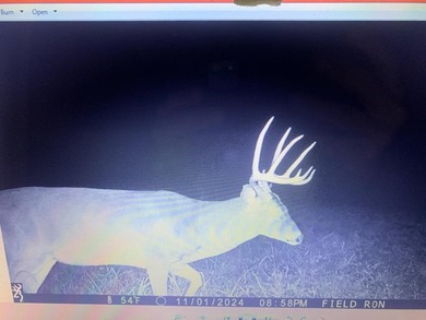 Looking for the perfect land investment, recreation or hunting - photo 18