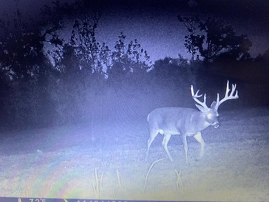 Looking for the perfect land investment, recreation or hunting - photo 19