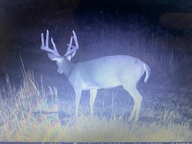 Looking for the perfect land investment, recreation or hunting - photo 21