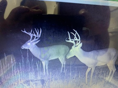 Looking for the perfect land investment, recreation or hunting - photo 22